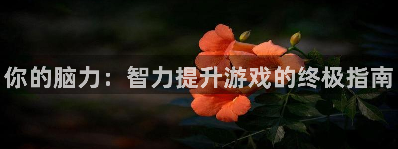 沐鸣娱乐2官方平台