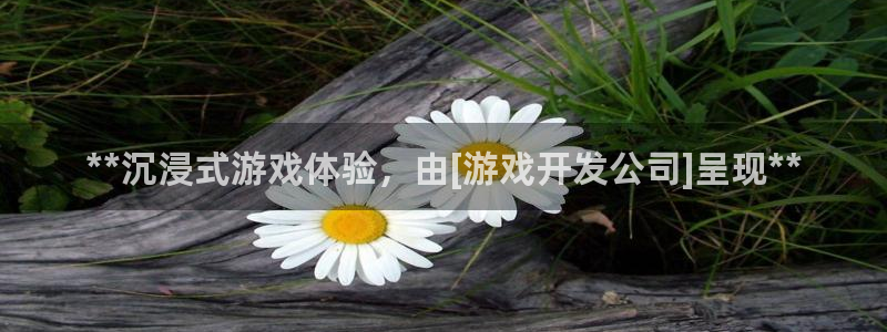 沐鸣娱乐2不能注册