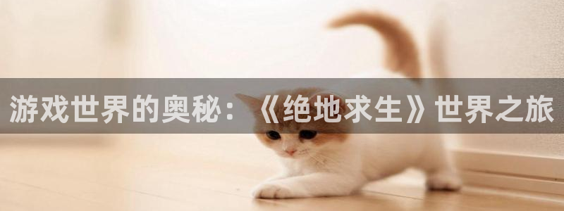 沐鸣2平台登录线路：游戏世界的奥秘：《绝地求生》世界之旅