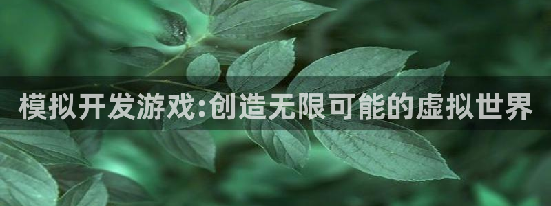 沐鸣2登陆扣27337：模拟开发游戏:创造无限可能的虚拟世界
