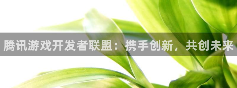 沐鸣2娱乐登录测速：腾讯游戏开发者联盟：携手创新，共创未来
