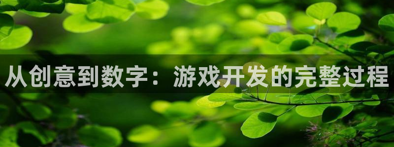 沐鸣2注册地址：从创意到数字：游戏开发的完整过程