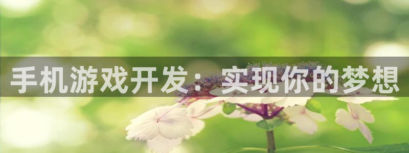 沐鸣娱乐2登陆不上怎么办：手机游戏开发：实现你的梦想
