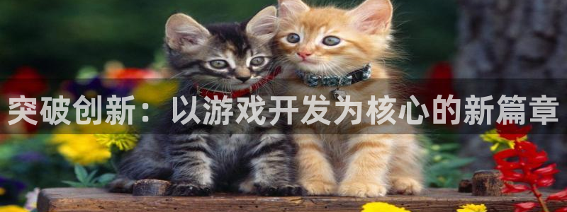 沐鸣2app官方：突破创新：以游戏开发为核心的新篇章