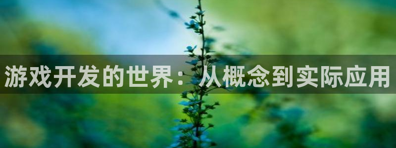 沐鸣娱乐2手机版：游戏开发的世界：从概念到实际应用