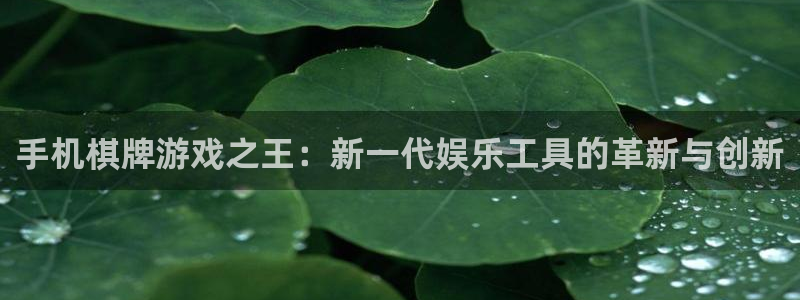 沐鸣娱乐2怎么样：手机棋牌游戏之王：新一代娱乐工具的革新与创新
