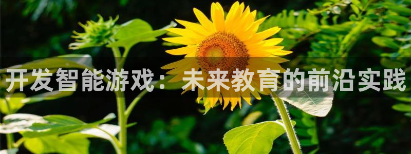 沐鸣娱乐2上来77542：开发智能游戏：未来教育的前沿实践