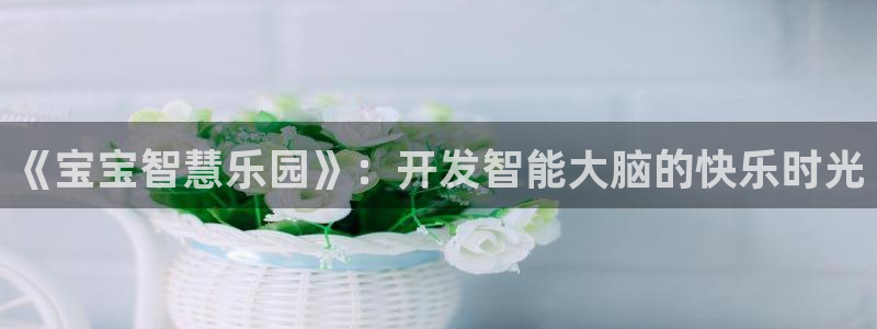 沐鸣2代理酋27337：《宝宝智慧乐园》：开发智能大脑的快乐时光