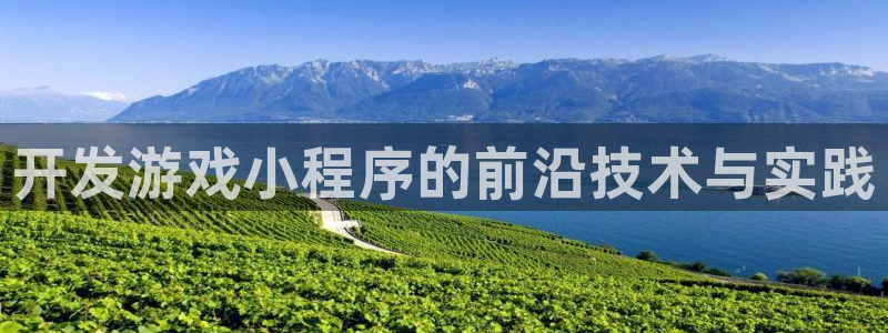 沐鸣娱乐2登陆不上怎么办：开发游戏小程序的前沿技术与实践