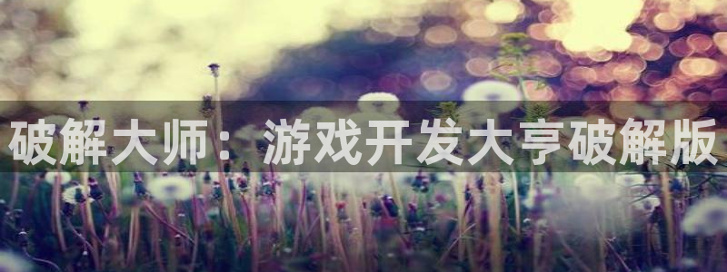 沐鸣2客服：破解大师：游戏开发大亨破解版