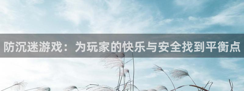 沐鸣娱乐2官网网址是什么：防沉迷游戏：为玩家的快乐与安全找到平衡点