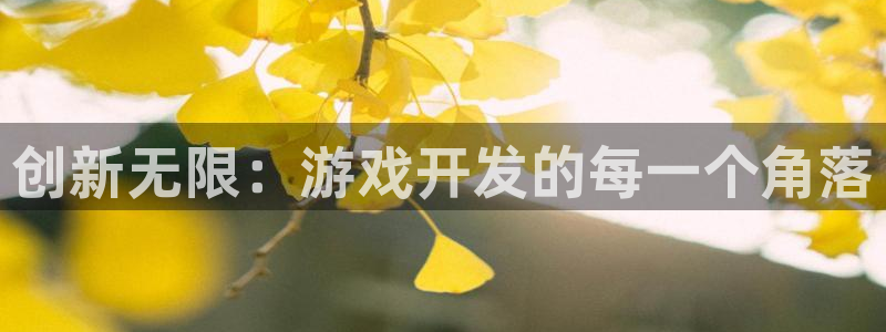 沐鸣娱乐2不能注册：创新无限：游戏开发的每一个角落