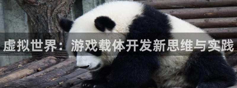 沐鸣2联盟：虚拟世界：游戏载体开发新思维与实践