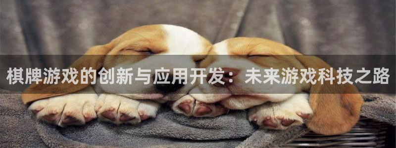 沐鸣2娱乐登录测速：棋牌游戏的创新与应用开发：未来游戏科技之路