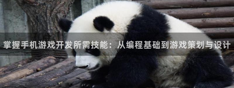 沐鸣娱乐2l怎么样：掌握手机游戏开发所需技能：从编程基础到游戏策划与设计