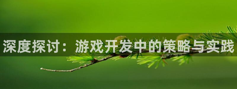 沐鸣娱乐2登陆不上怎么办：深度探讨：游戏开发中的策略与实践